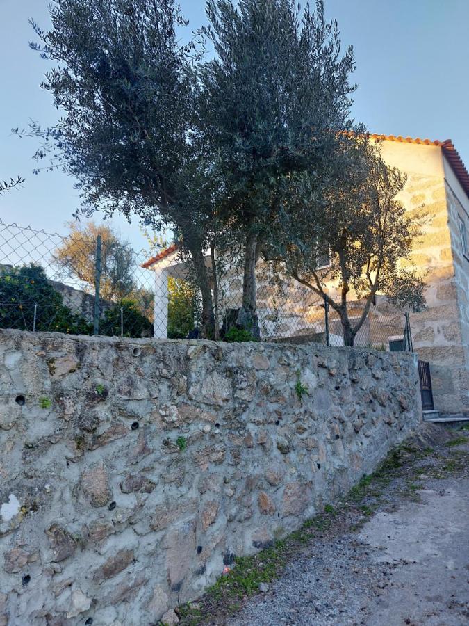 Appartement Casa Das Cortes - Serra Da Estrela à Gouveia  Extérieur photo